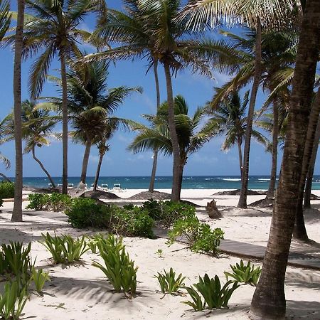 Hibiscus Beach Resort Christiansted Exterior foto