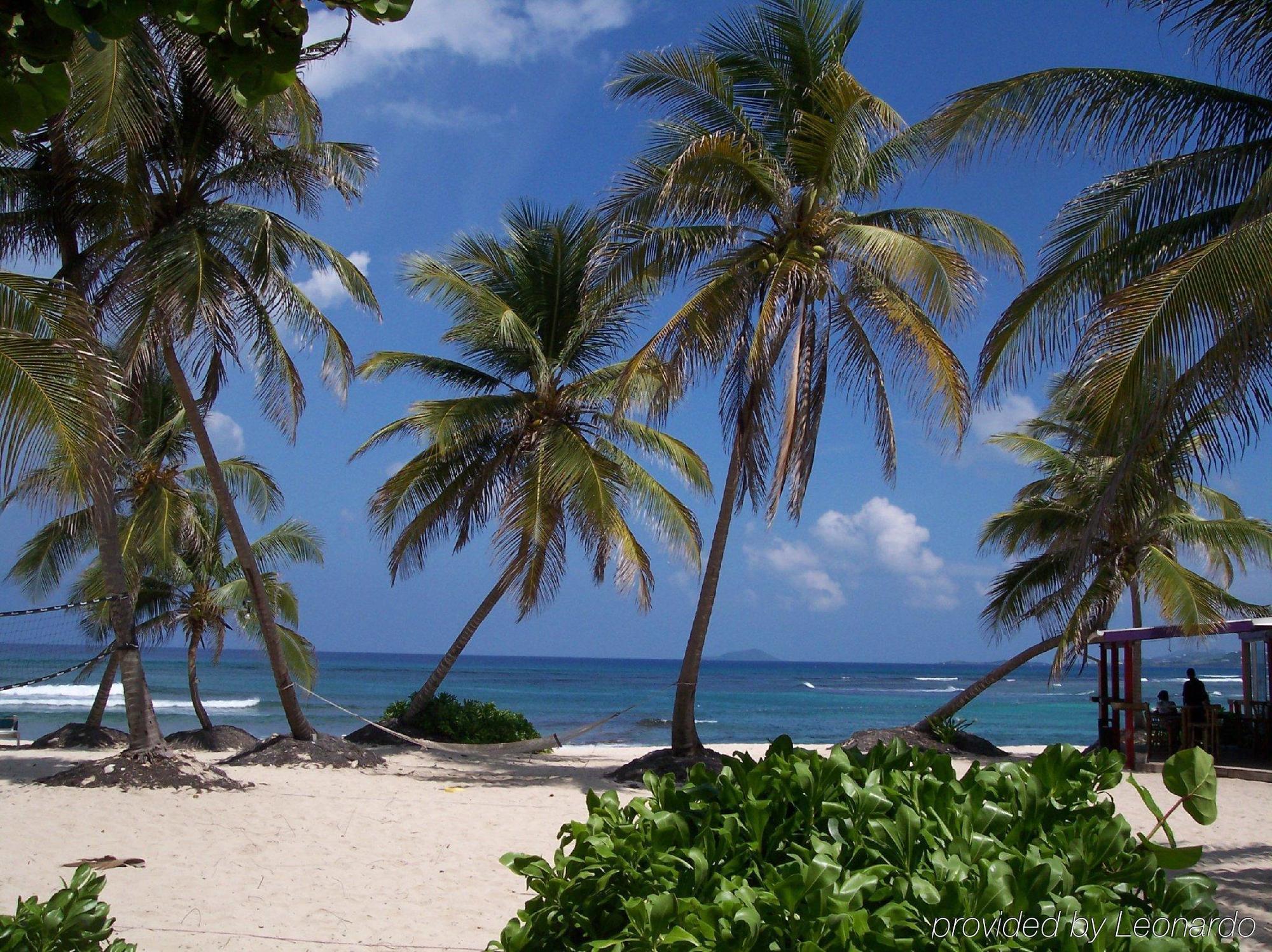 Hibiscus Beach Resort Christiansted Exterior foto
